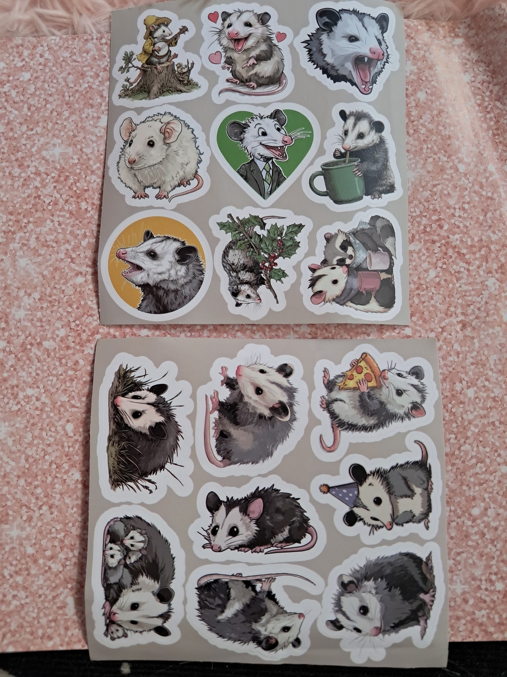 Opossum Sticker Sheet, 2 Sets Of 6, 12 Total- Super Cute Possum Set